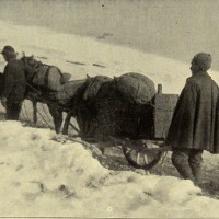 La spesa viveri non manca, malgrado la neve, in «L’Illustrazione italiana», 17 dicembre 1916, n. 51, p. 473, Istituto per la storia e le memorie del '900 Parri E-R.