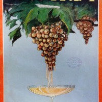 “Enotria” copertina, 1932 