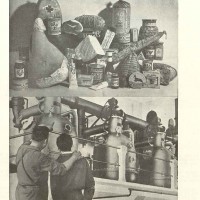 Settembre 1952. 7 mostra delle conserve (archivio  SSICA).