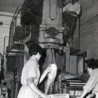 Formazione dei \