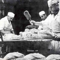 Addetti alla stagionatura dell’azienda Melchiorre Ferrari, Collecchio, 1950 ca. - Museo del Prosciutto - Langhirano