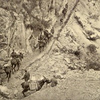 Una colonna leggera di rifornimenti ascende le montagne per giungere alla gran guardia, in «L'Illustrazione italiana», 29 agosto 1015, n. 35, p. 176, Istituto per la storia e le memorie del '900 Parri E-R.
