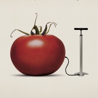 Manifesto sensibilizzazione OGM (1998)