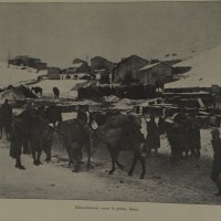 Rifornimenti verso le prime linee, in «L’Illustrazione italiana», 6 gennaio 1918, n. 1, p. 12, Istituto per la storia e le memorie del '900 Parri E-R.