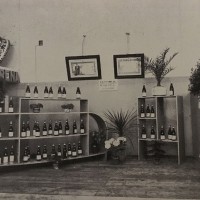 Foto del padiglione amarena Fabbri, in «Bologna. Rivista mensile del Comune», n. 5, maggio 1935.