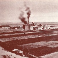 Veduta d'insieme dello zuccherificio di Classe [inizio '900]
Da: Eridania Zuccherifici nazionali, Storia di cinquant'anni (1899-1949), Piacenza 2013 [ristampa del volume edito nel 1949], p. 134