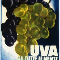 Cartolina della III Festa Nazionale dell'UVA