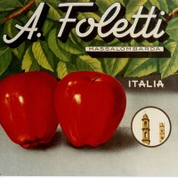 Etichette delle ditte di produzione e commercio di frutta e conserve alimentari di Massa Lombarda
