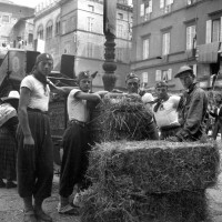 Trebbiatura del grano in piazza Garibaldi a Parma, 27/6/1942, Archivio fotografico Amoretti.