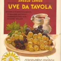 Angelo Longo, Uve da tavola, Piacenza, Federazione italiana degli agricoltori, 1930. 