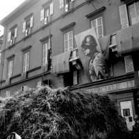 Trebbiatura del grano in piazza Garibaldi a Parma, 27/6/1942, Archivio fotografico Amoretti.