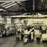 Salumificio Domenico Ferrari, Collecchio, 1920 ca., Museo del Prosciutto - Langhirano