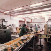 Linee produttive