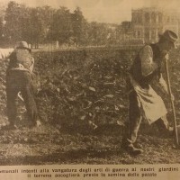 Operai comunali intenti alla vangatura degli orti di guerra ai nostri giardini pubblici. Il terreno accoglierà presto la semina delle patate, in «Il Resto del Carlino», 29 dicembre 1942. 
