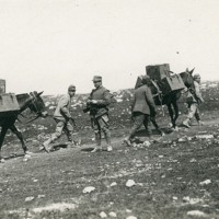 Carso. Trasporto del rancio alle truppe in linea, Museo Civico del Risorgimento di Bologna