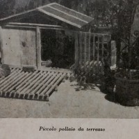 Ufficio propaganda Pnf, L’allevamento della gallina da uova in città, ca 1940. 